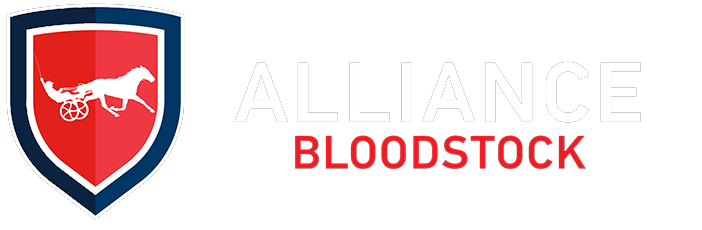 Alliance Bloodstock